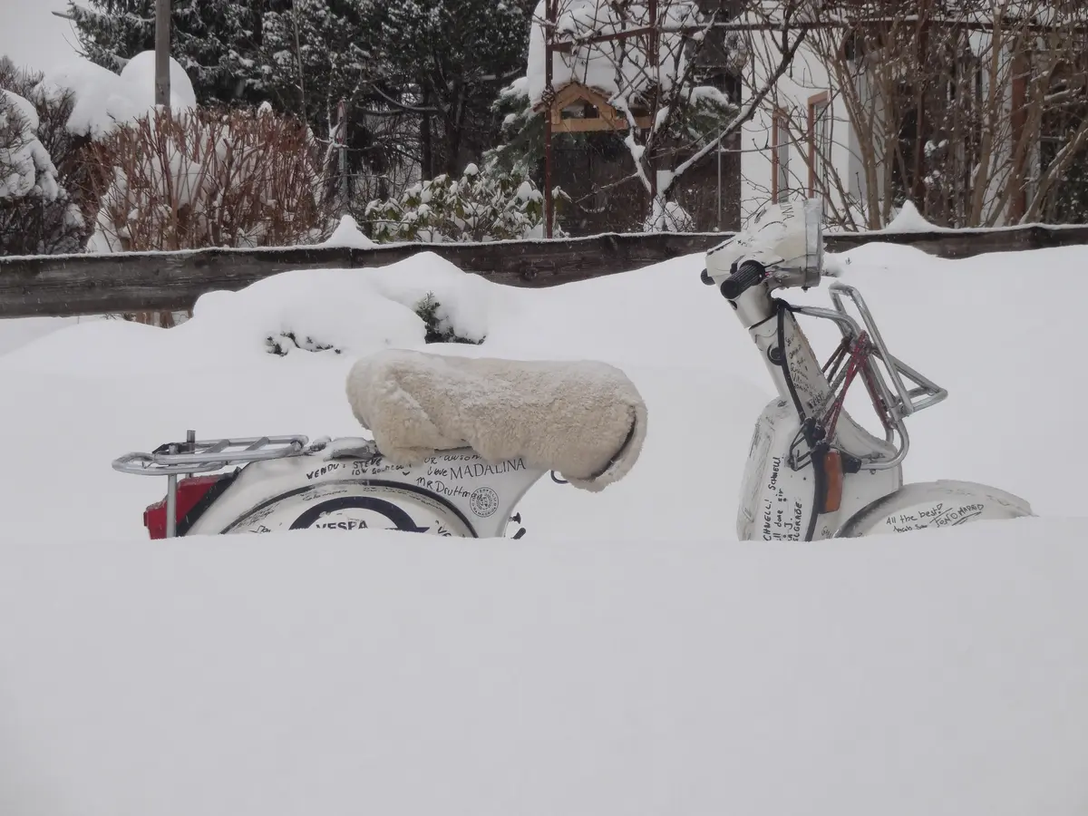Markus Mayer Vespa Madalina Buried Snow Elefantentreffen 2015