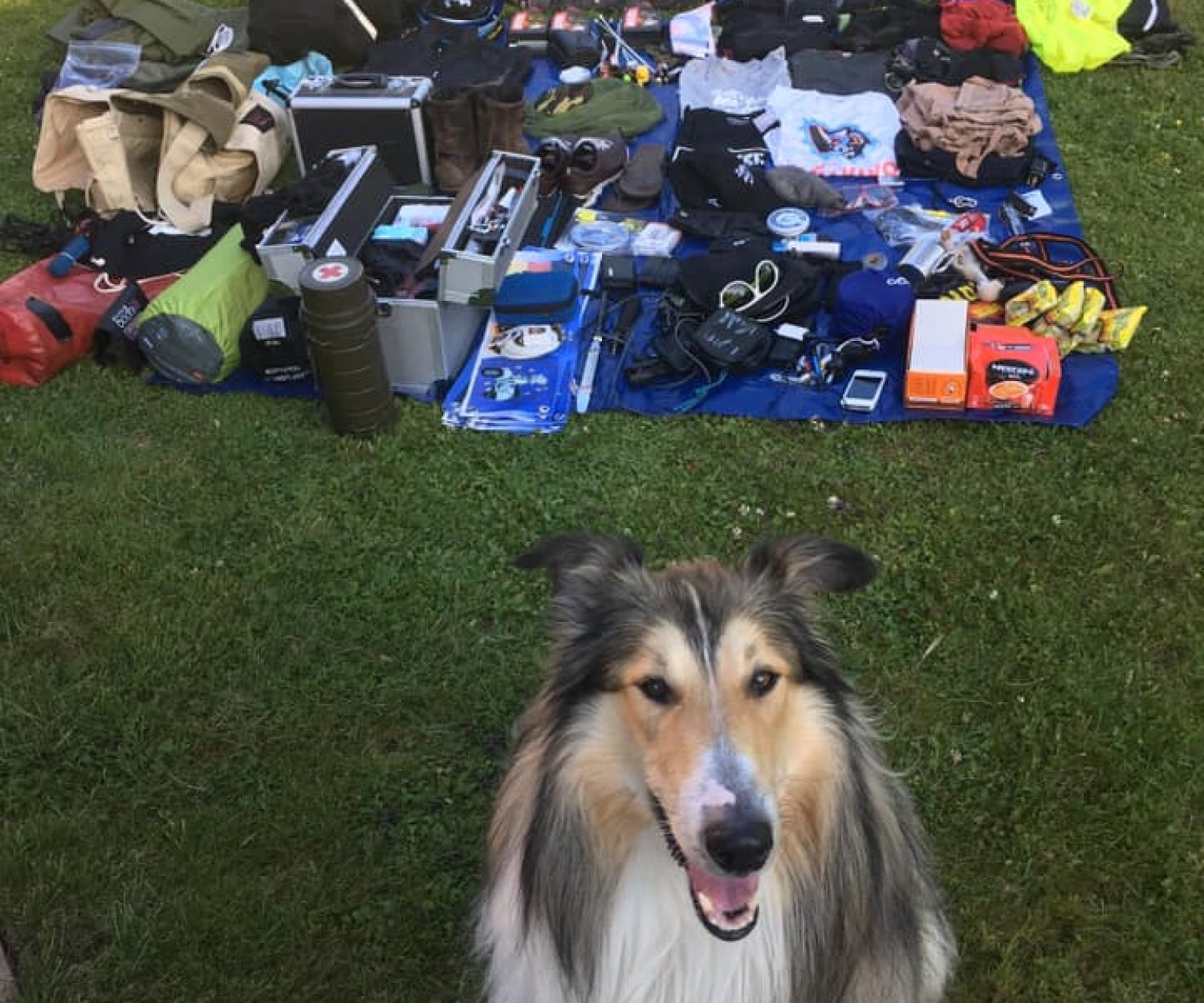 Vespa World Travel Packing